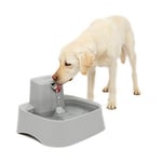 PetSafe Drinkwell Fontaine pour Animal Domestique Gris 7,6 l