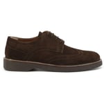 Duca Di Morrone Klassiske sko Enrico - Suede Brown