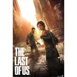 The Last Of Us Plakat