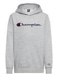 Champion Hooded Sweatshirt Grå