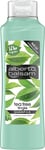 Alberto Balsam Shampoo Tea Tree 350ML