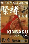 Restraint (KINBAKU photo book)