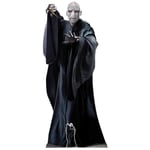 Lord Voldemort with Wand Cardboard Cutout Official H Potter Free Mini Standee