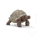 schleich 14824 WILD LIFE Figurine de Tortue Terrestre Géante - Figurine d'Animal Sauvage - Cadeau Garçons et Filles Jouet 3 ans et Plus