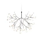 Heracleum III Small - Nickel