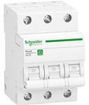 Schneider-Electric Schneider dvärgbrytare Resi9 3-polig (10A)