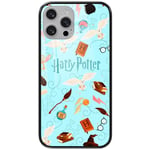 ERT GROUP Official Licensed Harry Potter 228 Tempered Glass Mobile Phone Case Cover for Apple iPhone 13