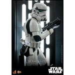 Hot Toys 1:6 Scale Star Wars Stormtrooper with Death Star Environment Statue