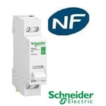 Interrupteur sectionneur 2x32 A - rési9 XP - Schneider R9PS232