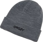 Oakley B1B Logo Beanie New Athletic Grey, OneSize