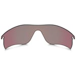 Oakley Radarlock Path Prizm Polariserad Lins