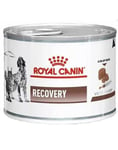 Royal Canin Vet Dog/Cat recovery ravintovalmiste kissoille ja koirille, 195 g