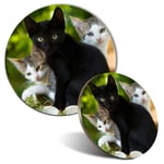 Mouse Mat & Coaster Set - Cute Kittens Black Tabby Ginger Cat  #24573