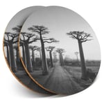 2 x Coasters bw - Baobab Trees Madagascar Tree  #38902