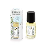 Esteban Paris Concentré Parfum Pour Diffuseur Piéce Salon Ambre Et Baumes 15 ML