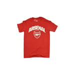 Arsenal Wordmark Crest T-shirt (Medium)