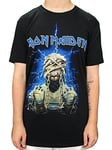 Rockoff Trade Men's Iron Maiden Powerslave Mummy T-Shirt, Black, Medium