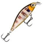 Rapala X-Light Minnow 5 cm wobbler Glassy Gill UV