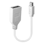 LINDY 41021 Mini DisplayPort to DisplayPort Adapter Cable - White, 0.2m