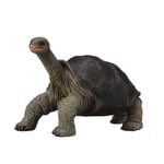 Figurine Tortue Géante Des Galapagos