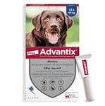 Advantix Grand Chien entre 25 et 40 kg – Pipettes pour chien contre 6 parasites – Traitement et protection pour votre chien pendant 4 semaines – 4 x 4,0 ml