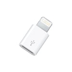 Adapterkontakt USB-Micro (hona) till Lightning (hane)