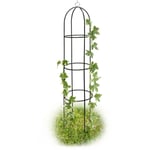 Obélisque tuteur, plantes grimpantes, rosiers arcade, arceau roses, arche jardin, métal 190 cm, vert - Relaxdays