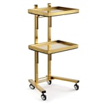 Beauty Hair Dressing Trolley Cart, Beauty Shelf Stainless Steel Trolley Cart Storage Tray Hairdresser Tool Trolley, 2 Tier,Storage Tray,D