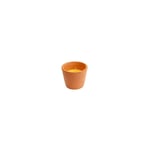 Citronella Candle 07935 Bougie Citronnelle + Pot Terre Cuite Marron 8 X 6 Cm