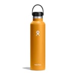 Hydro Flask - Water Bottle 709 ml (24 oz) - Vacuum Insulated Stainless Steel Water Bottle with Leak Proof Flex Cap and Powder Coat - BPA-Free - Standard Mouth - Fossil, Trillium