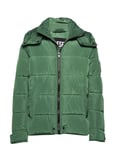 Diesel Men W-Smith-Ya-Wh Jacket Fodrad Jacka Grön [Color: DARK GREEN ][Sex: ][Sizes: M,L,XL,XXL ]