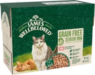 James Wellbeloved Grain Free Adult Cat Food with Salmon in Jelly Pouch 12 x 85g