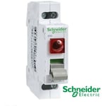 Interrupteur 20 a 2P à voyant lumineux 250V ca - Acti9 isw 230 - Schneider A9S61220