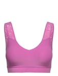 CHANTELLE Soft Stretch Padded Lace Top Rosa