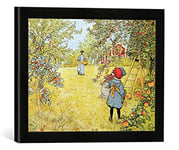 Kunst für Alle 'Encadré Image de Carl Larsson The Apple Harvest Impression d'art dans Le Cadre de Haute qualité Photos Fait Main, 40 x 30 cm, Noir Mat