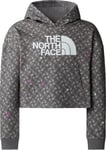 The North Face The North Face Girls' Light Drew Peak Printed Hoodie Smoked Pearl TNF Shadow M, Smoked Pearl Tnf Shadow