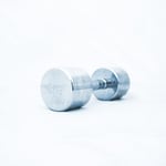 Titan Life PRO Chrome Dumbbell