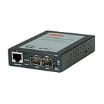 ROLINE Convertisseur Gigabit RJ-45 - Mini GBIC