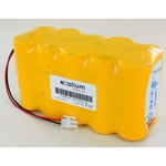 Exalium Premium - Batterie OVA58996 NiCd 12V 7Ah pour ova pyros TD020031