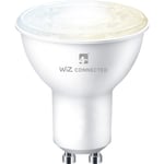 LED WIZ GU10 TW