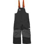 Helly Hansen Rider 2 Insulated Ski Bib Barn