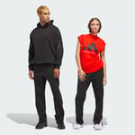 adidas Basketball Spacer Track Tracksuit Bottoms (Gender Neutral) Unisex