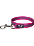 Julius-K9 IDC Color&Gray Leash w/o Handle pink/grey 20mm/1m