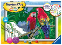 Ravensburger – Numéro d’Art format 31x21cm – Perroquets – Loisir créatif – Kit de peinture par numéros – Activité détente et créative – Dès 7 ans – 23932 – Version française