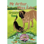 Mr Arthur, Miss Echo and the Grumpy Toad (häftad, eng)