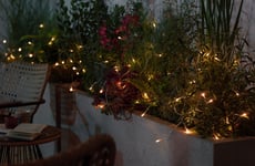 Garden by Sainsbury's Habitat White Solar LED String Lights