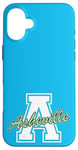 iPhone 16 Plus Retro Asheville Land of the Sky Case