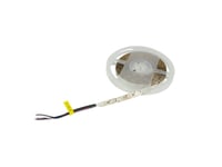 Synergy 21 Led Flex Strip 60 Rgb Dc24v Rgbw Ein Chip Ww Sform