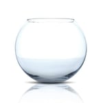 Amtra Crystal Globe - Fishbowl en Verre Transparent, Goldfish Aquarium, Soufflé Bouche, 30 cm