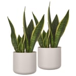 14cm Plain Round Plastic Plant Pot in Sleek White